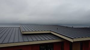 Best Roof Coating and Sealing  in Chinook, MT